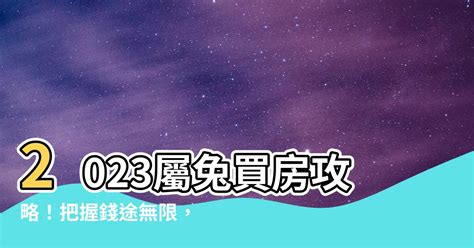 丁火女 壬水男 2023屬兔買房